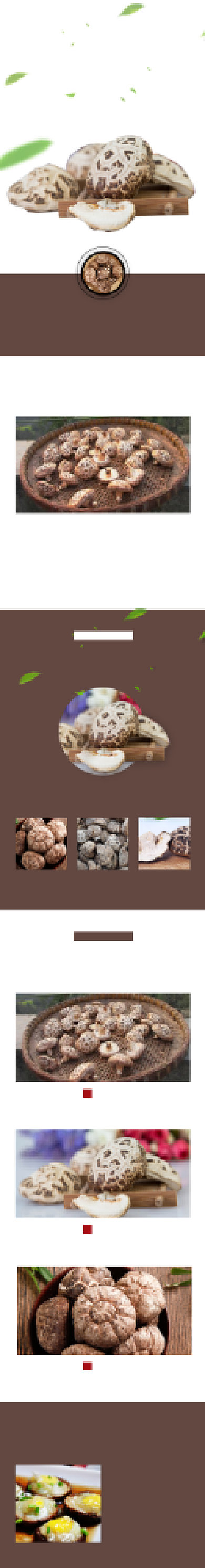 香菇香菇干香菇酱食品饮料详情页背景