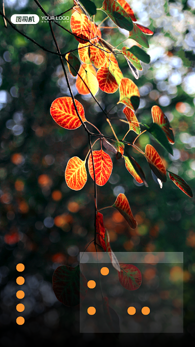 你好十二月热点日历宣传手机海报背景