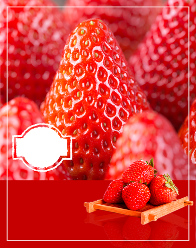 有机种植草莓新鲜放送限时促销背景