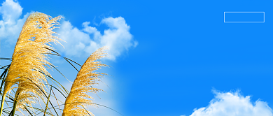 末伏节气公众号首图背景