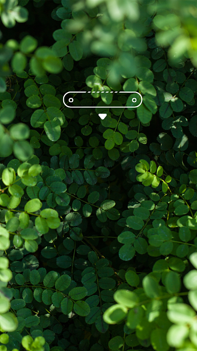 创意小清新励志讲师团队聊天背景图背景