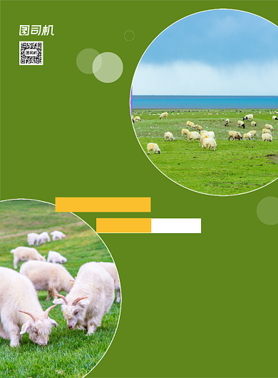 绿色大气简约创意草原旅游宣传海报背景