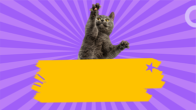 猫咪搞笑行为可爱直播横版视频封面背景