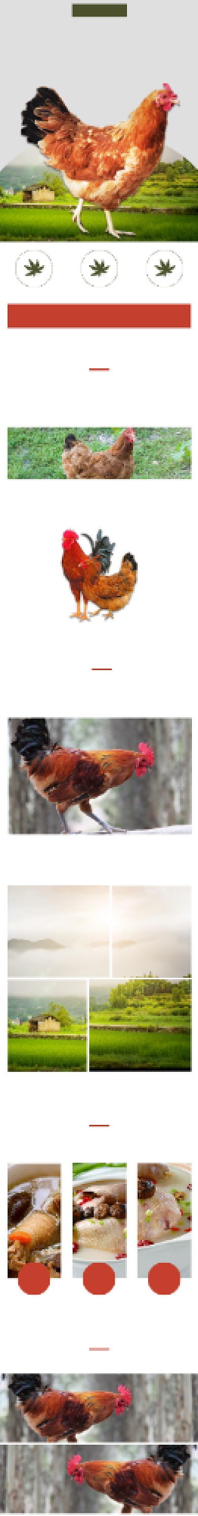 土鸡走地鸡农村散养详情页背景