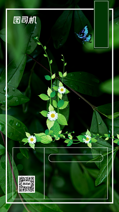 八月你好清新文艺手机海报背景