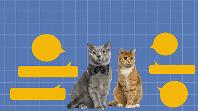 猫咪搞笑行为可爱直播横版视频封面背景