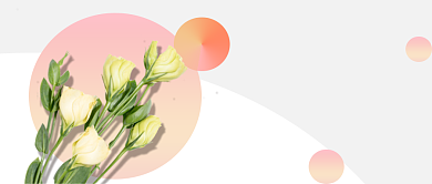 粉色渐变文艺小清新鲜花主题公众号封面背景