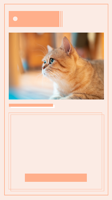 文艺清新暹罗猫文章配图背景