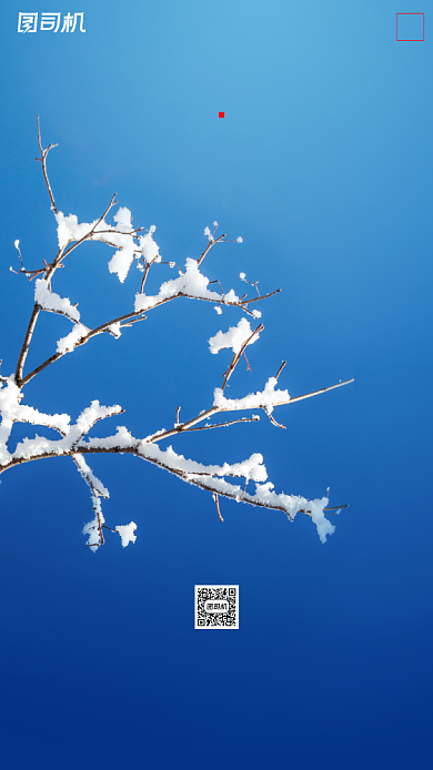 霜降节气摄影图蓝色简约手机海报背景