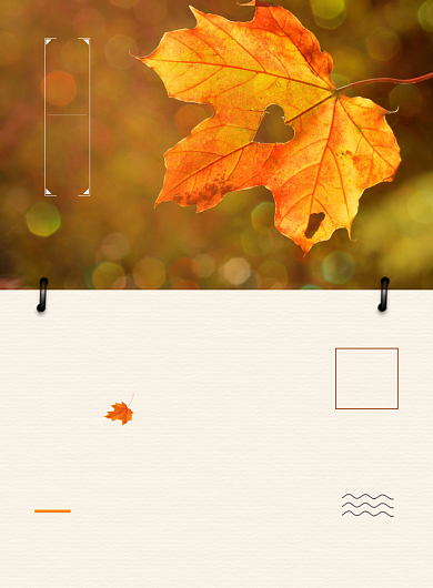 秋分清新文艺24节气传统节日宣传海报背景