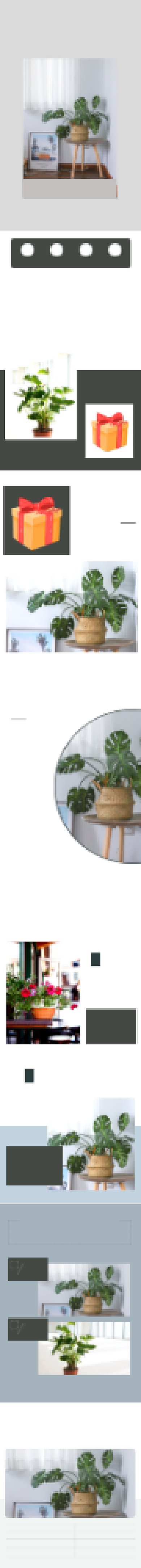 植物盆栽室内绿植空气清晰详情页背景