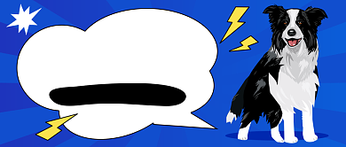 单身汪请注意公众号首图背景