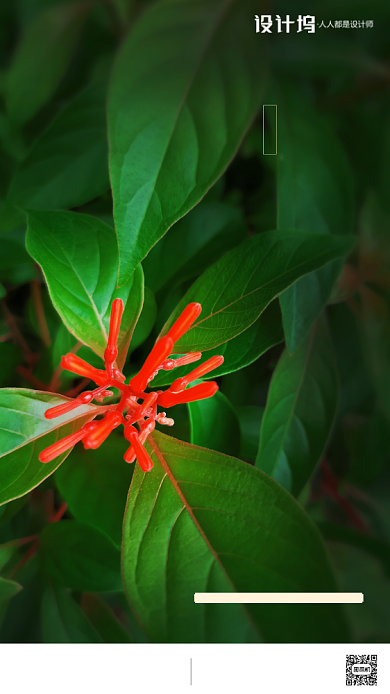 房地产绿色情人节手机海报背景