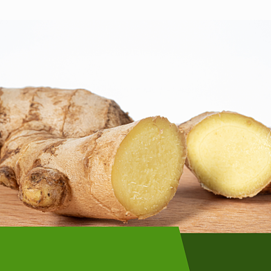 生姜食品淘宝主图直通车模板背景