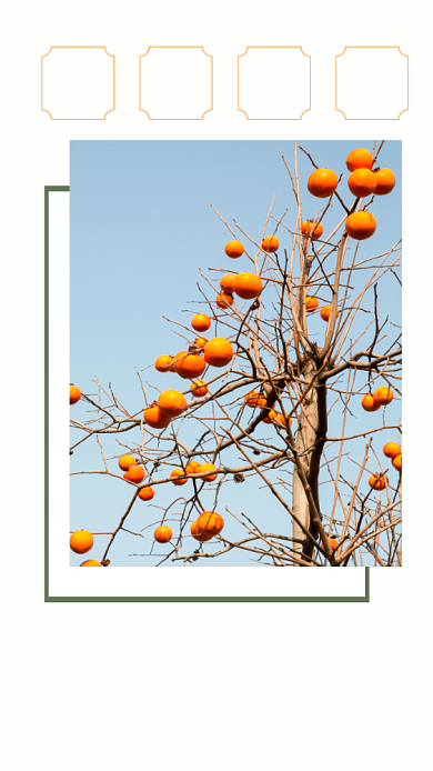 遇见秋天文艺橙色文章配图背景