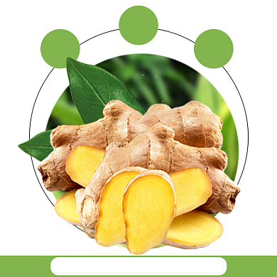 新鲜生姜功能介绍促销主图背景