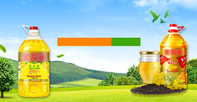 粮油米面菜籽油绿色小清新海报背景