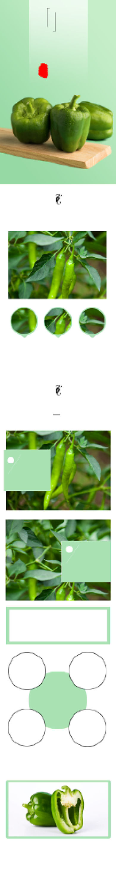 青椒肉椒辣椒蔬菜生鲜详情页背景