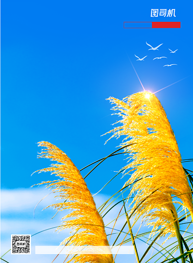 简约中国二十四节气立秋宣传海报背景