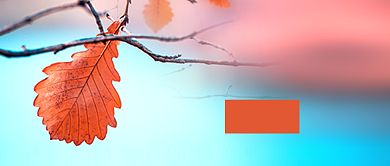 九月你好简约时尚公众号首图背景