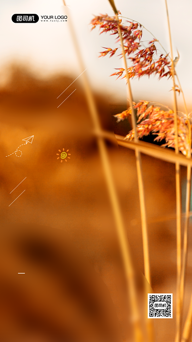 十二月你好日签简约宣传手机海报背景