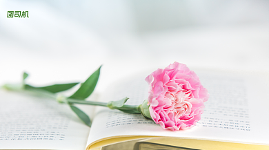 教师贺卡小清新横版背景