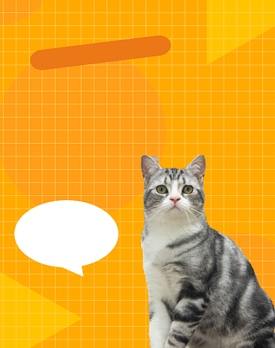 萌宠用品海报狂欢大促背景