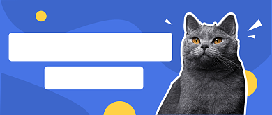 卡通趣味宠物猫咪话题公众号首图背景