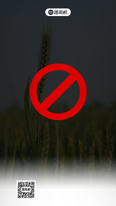 节约粮食简约手机宣传海报背景