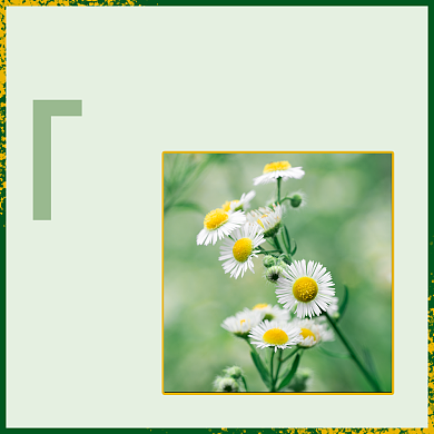 清晨美好花香方形配图背景