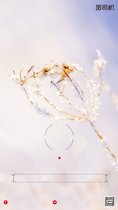 寒露节气文艺摄影图冰霜手机海报背景