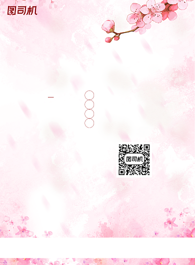 美容粉色中国风传统野生桃胶海报背景