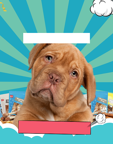 狗粮多口味促销海报背景