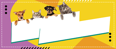 宠物之家周末领养日公众号首图背景