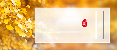 处暑节气简约实景摄影图公众号首图背景