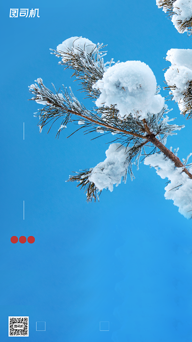 小雪节气摄影图蓝色简约手机海报背景