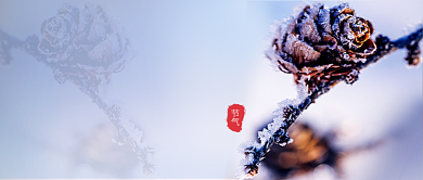 霜降传统节气蓝色简约公众号首图背景