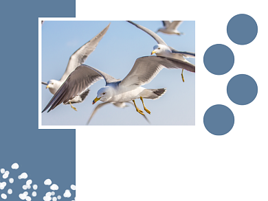 奔向未来横版配图背景