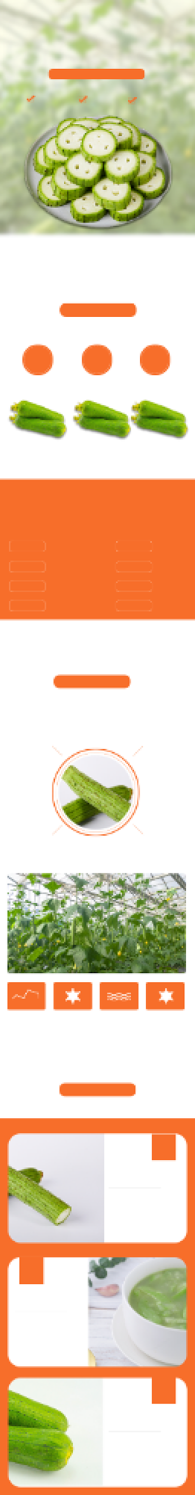 丝瓜详情页电商时尚简约大气橙色新鲜背景