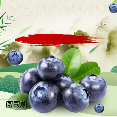 夏日清新水果蓝莓主图直通车背景