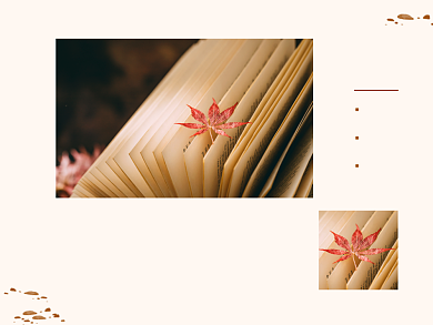 秋风习习文艺枫叶书横版配图背景