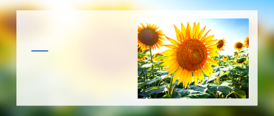 你好九月简约摄影图公众号首图背景