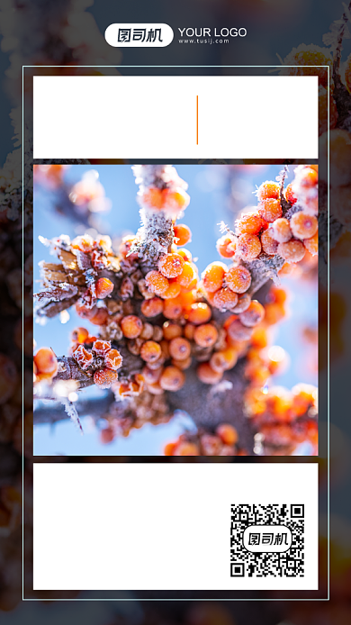 二十四节气大雪摄影图手机海报背景