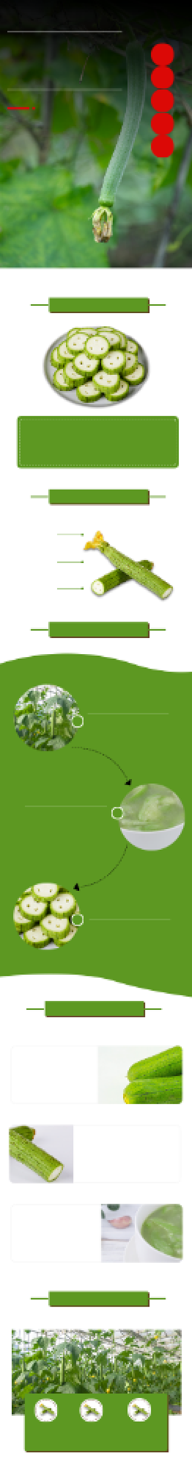 丝瓜蔬菜详情页电商时尚简约大气绿色背景