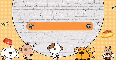 宠物店促销狗粮猫粮活动海报背景