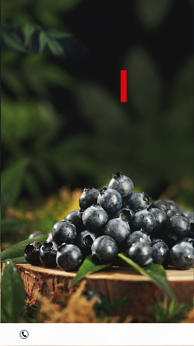 简约蓝莓摄影海报小暑节气背景