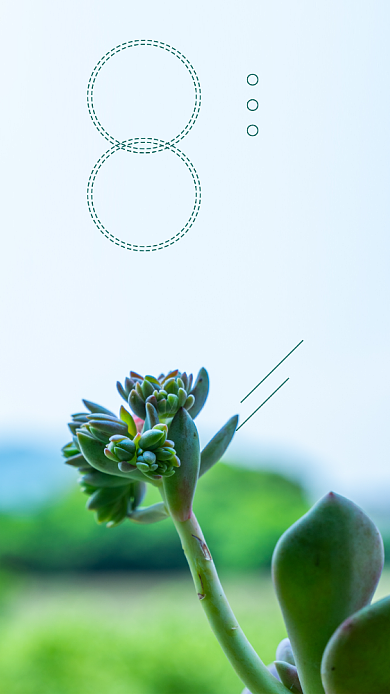 绿色简约早安你好励志文章配图背景