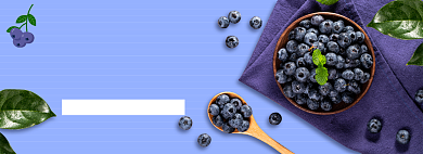 夏季新鲜水果蓝莓促销banner背景