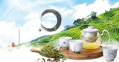 西湖龙井茶绿茶上新海报背景