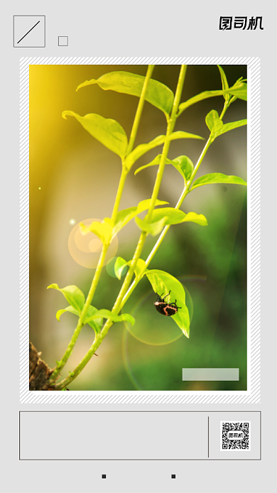 励志签到日签手机海报背景